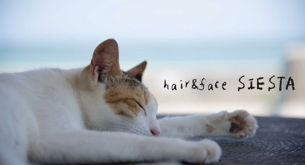 佐賀のメンズ美容室ヘア&フェイス SIESTA(シエスタ)